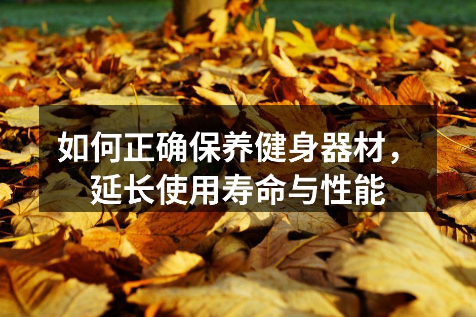 如何正确保养健身器材，延长使用寿命与性能