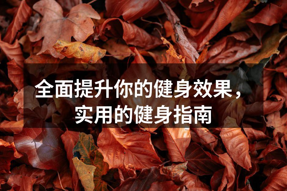 全面提升你的健身效果，实用的健身指南
