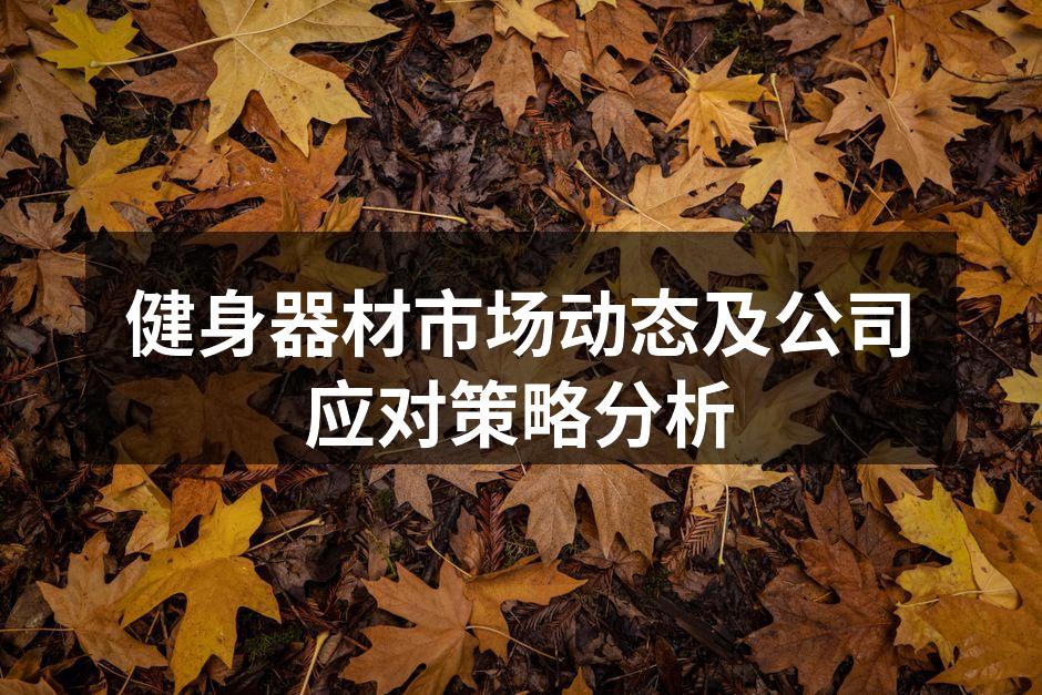 健身器材市场动态及公司应对策略分析